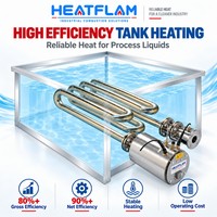 Brûleur à immersion HTX20 pour chaudière, gaz naturel, compact, chauffe les liquides, brûleur à tirage induit pour réservoirs immergés, finition métallique