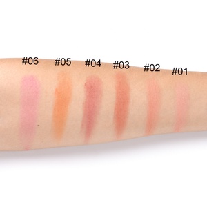 Pigmento brillante de 6 colores, nuevo diseño de rosa, <span class=keywords><strong>maquillaje</strong></span> personalizado - Product Image 5