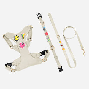 Rifornito di lusso personalizzato in morbida pelle carino Pet petto cane imbracatura e guinzaglio con adesivo dei cartoni animati emblema Pet petto all'ingrosso - Product Image 4