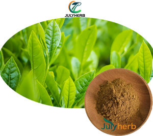 Estratto di Tè Verde in Polvere Julyherb Gold Standard, Grado Alimentare, 80% Catechine, Confezione Sottovuoto Globale, CAS - Product Image 1