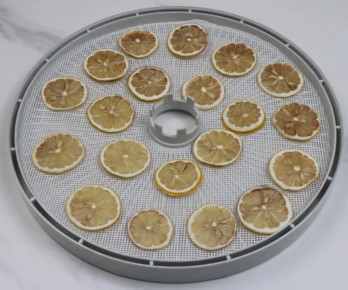 ZL-Fruit Dryer used Steamer Mesh mat Silicone Baking Mats round Reusable Silicone Dehydrator Sheet