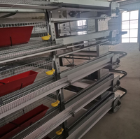 Nouvelle cage d'élevage de cailles automatique de haute qualité de type H avec fil galvanisé et élimination automatique du fumier