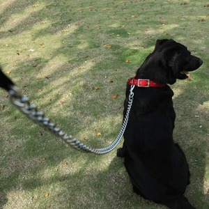 Laisse pour chien robuste en acier inoxydable et nylon, imperméable, anti-morsure, avec chaîne métallique et poignée rembourrée, pour petites races, laisse de sécurité pour la promenade - Product Image 4