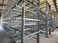 Cage d'élevage de poulets de type H entièrement automatique, conception de reproduction naturelle, cage de reproduction à haute fertilité pour élevage avicole