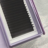 Prix de gros J B C D Dd M L Extensions de cils en fibre de soie coréenne PBT