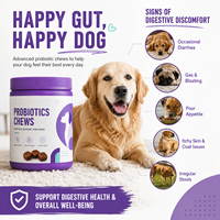 Probiotiques pour animaux de compagnie pour ventres sensibles – Friandises à mâcher molles en gros pour chiens et chats – Soutien à la santé intestinale – Marque privée