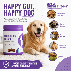 Probiotiques pour animaux de compagnie pour ventres sensibles – Friandises à mâcher molles en gros pour chiens et chats – Soutien à la santé intestinale – Marque privée - Product Image 1