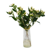 Langsung Dari Yunnan Bunga Segar Hypericum 50cm Merah Hijau Pesan Sampel Cepat Hypericum untuk Pesta