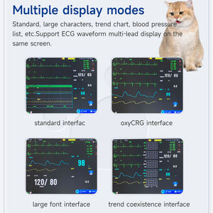 Hewan Peliharaan Hewan Kecil Hewan Besar Ternak Alat Tanda Vital Monitor Pasien Multiparameter Sistem Pemantauan Veteriner - Product Image 2