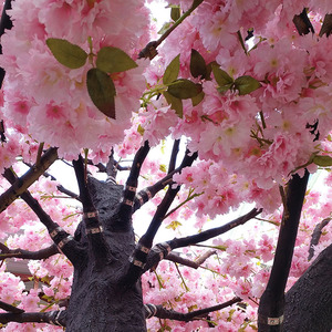Giá Rẻ Đám Cưới Nhân Tạo Hoa Anh Đào Cây Lớn Giả Sakura Cho Trang Trí Mục Đích Giả Lớn Hoa Anh Đào Cây - Product Image 6