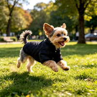 Manteau d'hiver pour chien en coton de luxe avec logo personnalisé, matériau écologique pour toutes les tailles, fabricant en gros