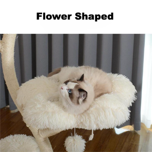Arbre à chat en fer forgé avec base lestée épaissie, fonction griffoir multifonctionnelle, structure d'escalade pour animaux de compagnie en bois naturel - Product Image 3
