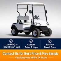 Voiturette de golf électrique Tarion deux places, sièges en cuir PU, moteur AC 3KW, batterie lithium 72V, système de frein à tambour arrière, 30-50 km/h