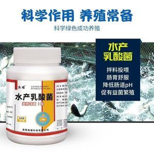 Probiótico Líquido de Bacterias Lácticas Acuáticas para Loach con Cultivo de Enterococcus Faecalis, 22 Botellas por Caja - Product Image 5