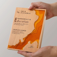 Plaque de récompense créative en résine et bois, design unique plaqué or fondu, trophée moderne pour la reconnaissance des employés