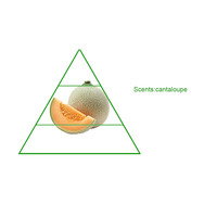 Diffuseur de parfum d'huile de Melon de haute qualité usine Body Spray désodorisant de voiture pour les soins de la peau huiles capillaires saveur industrielle