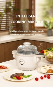 Time Saving Hotpot 304 Stainless <strong>Steamer</strong> Mesh Commercial <strong>Automated</strong> Stir Frying Household Cooking Robot - Product Image 2