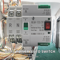 PC Type Dual Power Single Phase 230V Automatic Transfer Switch 2P 100A ATS Circuit Breaker Electrical Switch