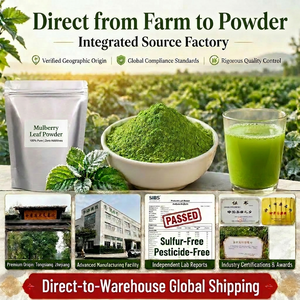 Polvo de Hoja de Morus <span class=keywords><strong>Alba</strong></span> a Granel de Marca Privada OEM, Polvo Herbal de Matcha Finamente Molido, Polvo de Hoja de Morera, Polvo de Té de Morera - Product Image 5