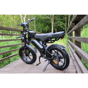Bicicleta Eléctrica Vintage de 250w de Largo Alcance con Doble Asiento, Ebike 15ah, E-Dirt Bike V20pro, E-Bike V20pro V10 Gaurd 2024 Yozma Varg Sample - Product Image 4