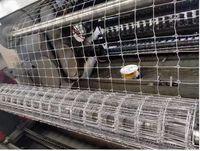 Clôture en treillis métallique galvanisé perforé pour bétail et moutons, vente en gros d'usine