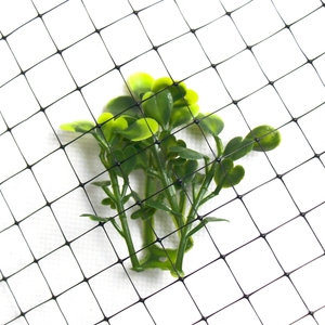 Nhiệm Vụ Nặng Nề Pp Nhựa Căng Ép Đùn Chống <span class=keywords><strong>Bird</strong></span> Mole Lưới Gà Gia Cầm Trang Trại Hàng Rào Hươu Lưới Cho Bảo Vệ - Product Image 5