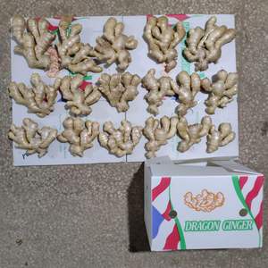 Chất lượng tốt gừng tươi cho thị trường Trung Đông giá thấp gừng - Product Image 6