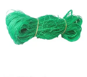 6 years service life Factory supply HDPE Agriculture Plastic Mesh Netting Garden green Plants Support Climbing Net Trellis