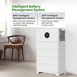 ระบบแบตเตอรี่ลิเธียมไอออน Lifepo4 10kWh พร้อมแผงโซลาร์เซลล์แบบโมโนคริสตัลไลน์ MPPT กำลังไฟ 10kW สำหรับใช้ในบ้าน (ทำงานได้ 24 ชั่วโมง) - Product Image 5