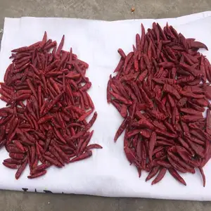 Droge Chili Rode Kruiden Importeurs Voor Groothandel Uit Madagascar