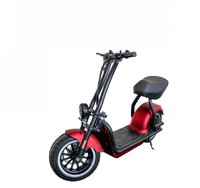 Scooter électrique Citycoco 1000W 48V 20Ah au lithium pour adultes - Modèle avec mini-siège, éclairage LED, freins à disque, autonomie de 50-60 km, affichage numérique