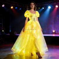 Robe longue de princesse à manches bouffantes en fibre optique LED, costume de scène lumineux pour spectacle, fête, festival, événement, mariage