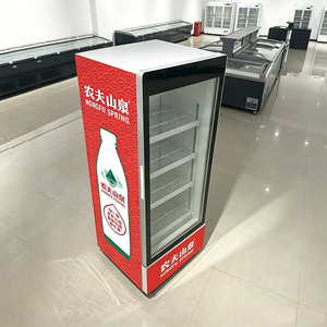 Vitrina Refrigerada Vertical Comercial con Puerta de Acero para Bebidas, Puerta Única, para <span class=keywords><strong>Supermercados</strong></span>, Restaurantes y Tiendas, con Certificación NSF - Product Image 3