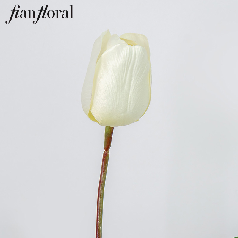 Crema 10.CR0063