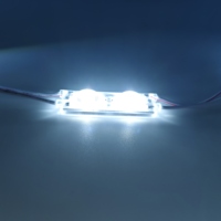 Module LED S2 Ultra en gros 130LM 180 °   Puce haute luminosité étanche IP67 DC12V 0.72W à angle de faisceau étroit pour enseigne lumineuse