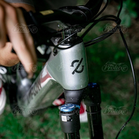 Vélo électrique intelligent avec écran OLED connecté à l'application, DJI Amflow Silver, pour les cyclistes techniquement avancés