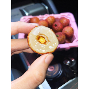 Trái Cây Vỏ Thiều Tươi Của Trung Quốc Xuất Khẩu - Product Image 3