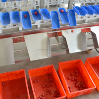 Mango Kersen Bosbessen Fruit Sorteerder Draaitafel Met Weging Van Screening Groenten Zeevruchten Separator Gram Gewichtsonderzoek Machines