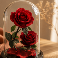 Boîte cadeau en verre avec rose éternelle de luxe, 2 têtes, fleur éternelle, Saint-Valentin, mariage, vente en gros, logo personnalisé