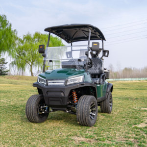 Produits les plus vendus : Chariot de golf tout-terrain surélevé à 2 places avec batterie - Product Image 2