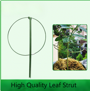 2025 nouvelle vente chaude en acier inoxydable fleur Support pieu support de tige robuste pour Dahlia jardin - Product Image 4