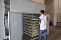 Déshydrateur de fruits et légumes à énergie solaire Manioc Oignon Mangue Figue Prune Machine de séchage solaire