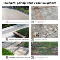 Carreaux de pavage en porcelaine modernes pour extérieur 300x600mm Antidérapants Semi-mat Résistants aux acides Antibactériens Garantie 5+ ans