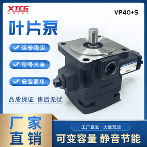 Xtcg Hydraulic <b>Pump</b> Vp40s 350 <b>Bar</b> 2 Stages High Pressure Variable Industrial Machinery - Product Image 5