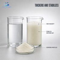 Voedingskwaliteit Xanthan Gum 200 Mesh E415 Verdikkingsmiddel Stabilisator CAS 11138-66-2 voor Sauzen Dranken Bakkerij 25kg Bulk Levering