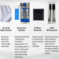 Lampadaire Solaire 100W Étanche IP66 avec Batterie LiFePO4, Conception Brevetée IK10, Lampe LED Solaire Autonome pour Choix EPC
