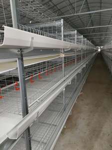Meilleur prix 10000 oiseaux volaille ferme automatique poulet batterie cages pour pondeuses au kenya - Product Image 3