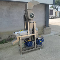 Grote sapcentrifuge voor ananas, guave, citroen en sinaasappel. Automatische sapcentrifuge van roestvrij staal.