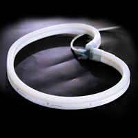 Lumières LED néon flexibles à double couleur, design breveté, matériau PVC, 15x26mm, dimmables, IP68 IK08, 24V/120V/230V, pour usage en jardin