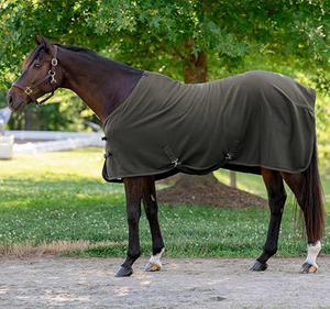 Tiêu Chuẩn Cổ Lông Cừu Mát Cho Ngựa Lông Cừu Ấm Cúng Và Thoải Mái Biểu Tượng Tùy Chỉnh Ngựa Ổn Định Chăn Ngựa Thiết Bị - Product Image 1